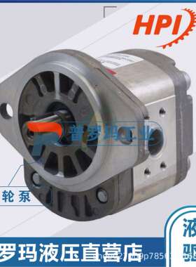 法国进口HPI 进口高压油泵 P1BAN2022BL10B02N齿轮泵法国进口油泵