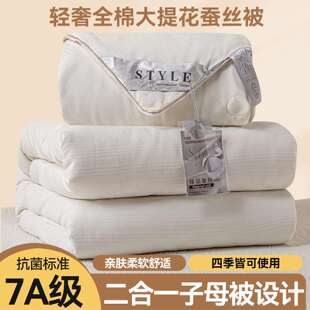 桐乡蚕丝被春秋被桑蚕丝a类冬被子二合一子母被夏凉被结婚喜被芯