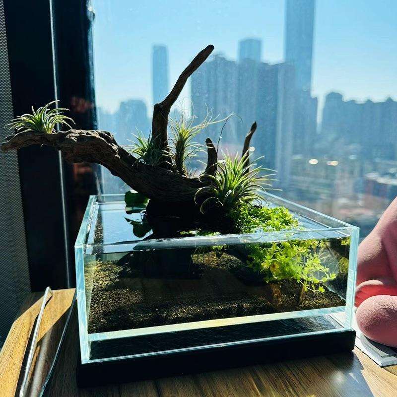 鱼缸矮缸溪流缸方形桌面龟缸玻璃缸养客厅专用懒人造景办公亚马逊