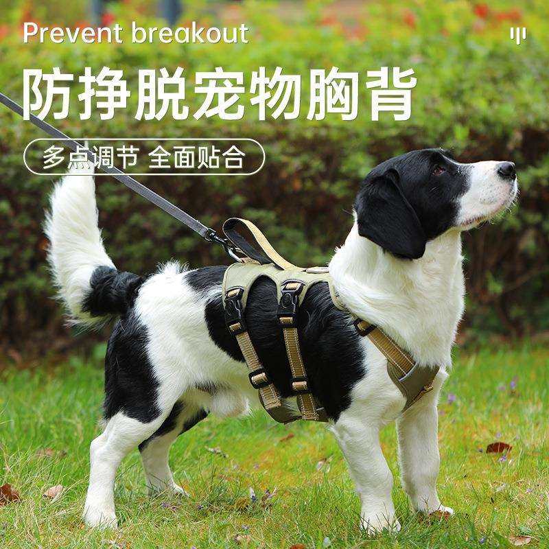 宠物胸背带中大型犬防爆冲牵引绳背心式可调节胸背狗狗狗链,鲜花速递/花卉仿真/绿植园艺,割草机/草坪机,淘宝优惠券,粉丝福利购,淘宝优惠卷