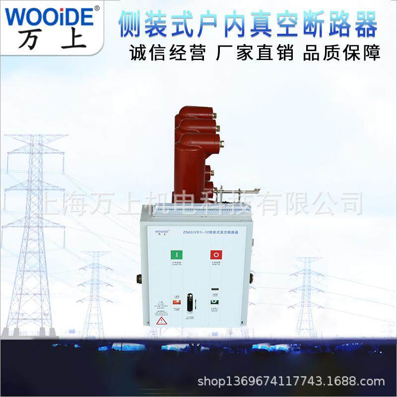 VS1-12/630A-25 VS1-12/1250A-31.5侧装式10KV高压真空断路器,鲜花速递/花卉仿真/绿植园艺,割草机/草坪机,淘宝优惠券,粉丝福利购,淘宝优惠卷
