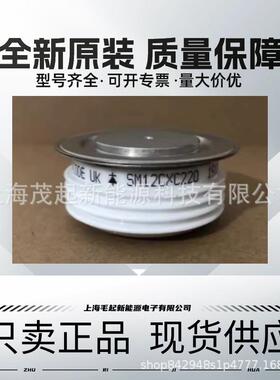 SW02CXC19C SW06CXC19C SW06CXC400 SW20CXC820 西码整流二极管