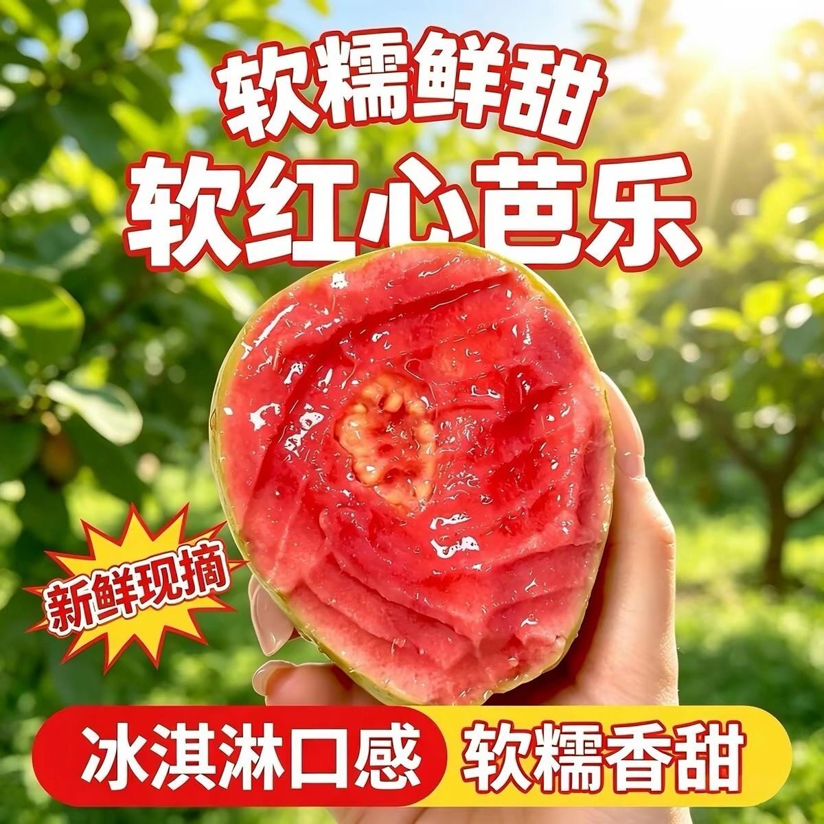 广西软糯红心芭乐番石榴