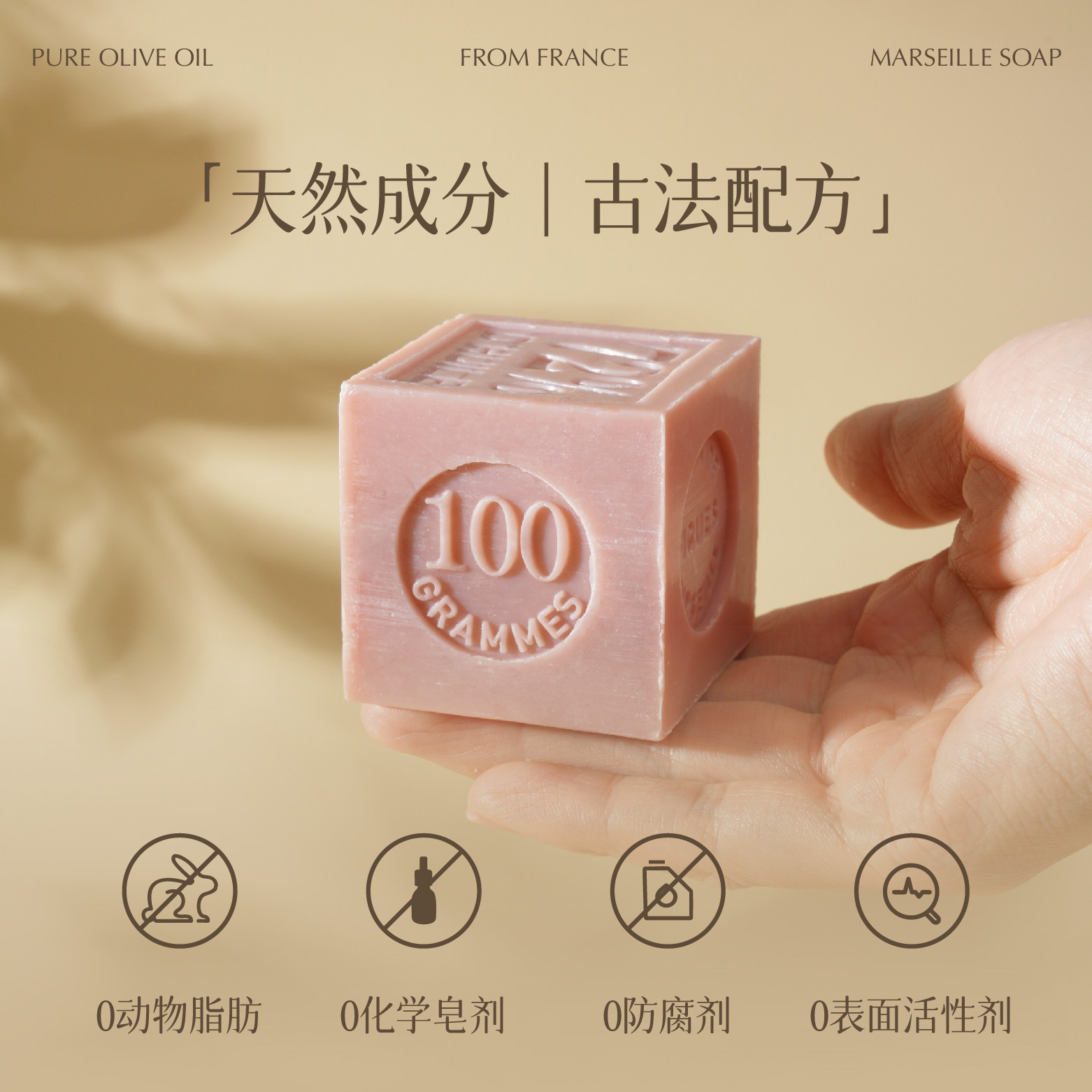 达妃乐Théophile Berthon法国原装进口立方体马赛皂100g无花果香图片