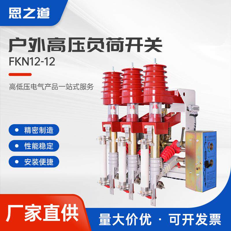 FKN12负荷开关 高压负荷开关熔断器组合电器 户内组合式熔断器