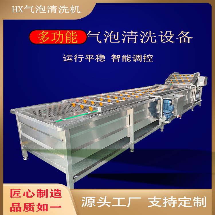 全自动气泡大枣流水线不锈钢多功能竹笋果蔬清洗机净菜清洗设备