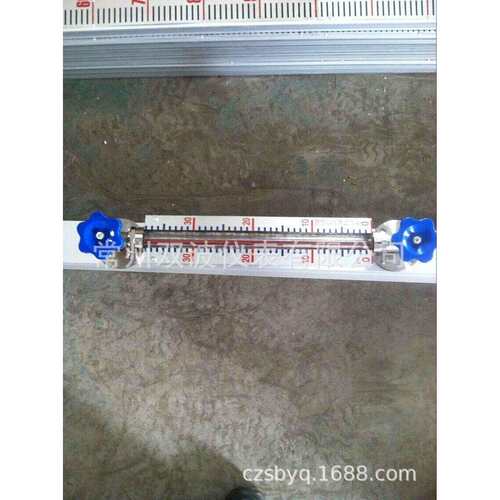 X49W-16P玻璃管液位计 双波