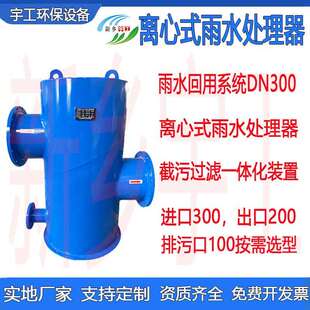离心式雨水处理器雨水收集回用系统颗粒分离截污过滤一体化装置