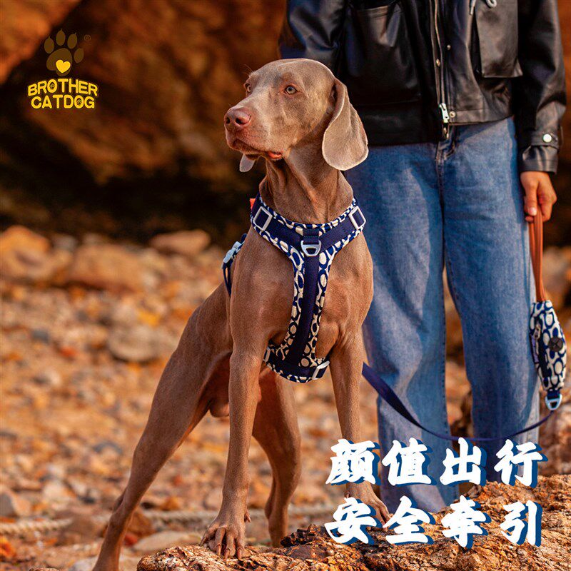 猫兄狗弟新款背心式狗狗胸背带可提拉防挣脱柯基金毛拉布拉多