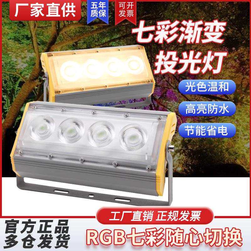 亚明户外彩色射灯led七彩变光舞台墙体照树灯草坪单色聚光投光灯