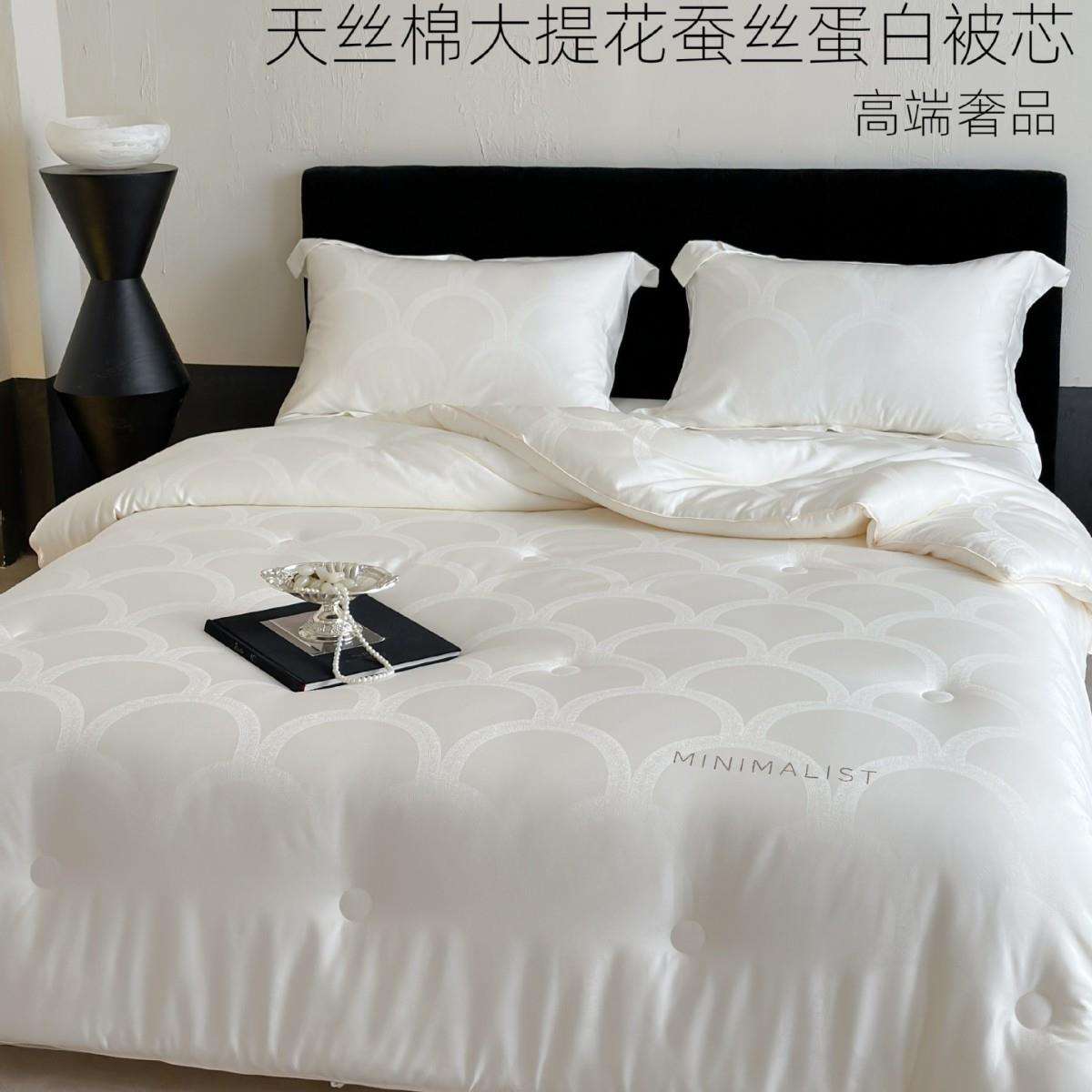 新品轻奢天丝棉蚕丝蛋白被子家用双人春秋被芯 保暖加厚秋冬被芯