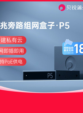 蒲公英P5千兆旁路组网盒子NAS伴侣企业IPSec PPTP L2TP远程监控异