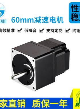 信浓两相直流S60D120A-MACR6S2一体速步进电机60mm小体积精度