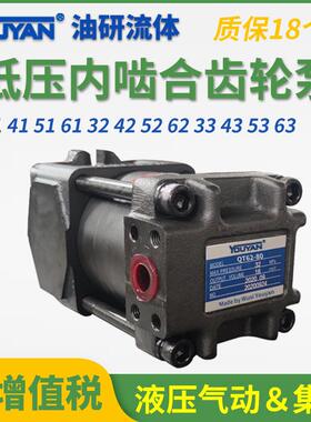 QT31/43-20/25内啮合31.5齿轮泵41/52/53-40/50/50住友型51/63-80