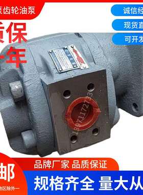 齿轮油泵CBGFa2080-B1R四川长江液压泵CBGFa2063-B1L高压泵动力泵