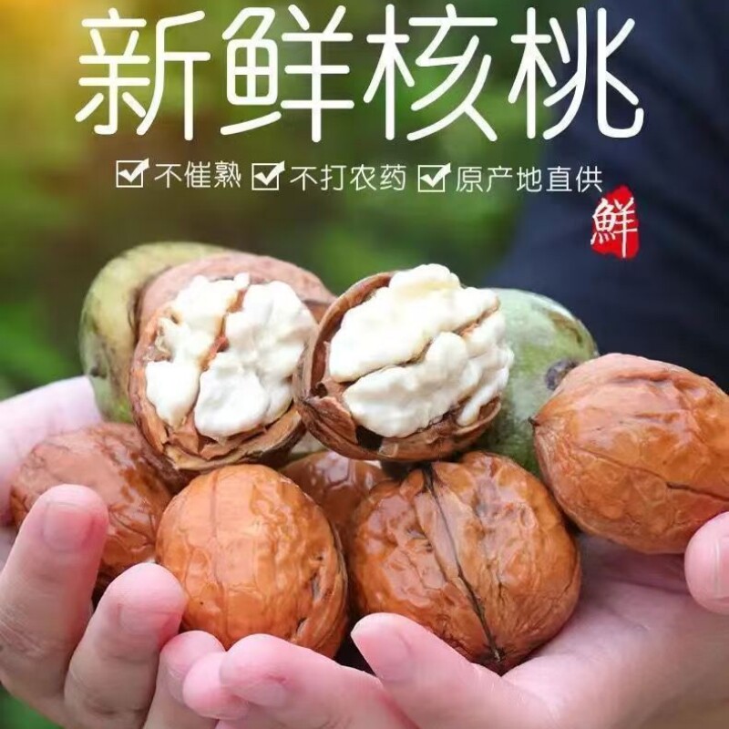 原产地现摘新鲜湿核桃去青皮核桃