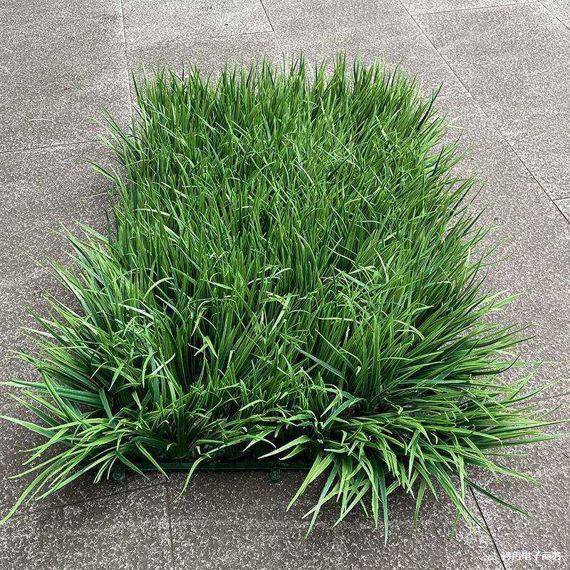 长草塑料草坪高须草块塑料草垫块秧苗草丛造景厚底草砖场地塑料草,鲜花速递/花卉仿真/绿植园艺,割草机/草坪机,淘宝优惠券,粉丝福利购,淘宝优惠卷