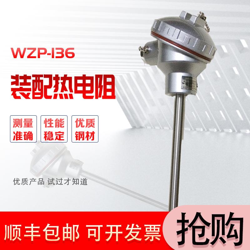 上海WZP-136装配式热电阻PT100型500度测温不锈钢304材质感温探头