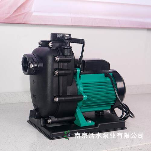 德国威乐水泵WILO自吸泵PU-S400E 非自动 220V 农业或海水抽水泵