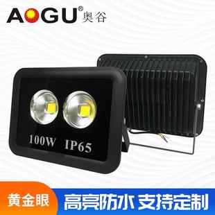 新款 LED黄金眼投光灯户外防水聚光广告灯泛光灯100W补光灯