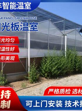 农业蔬菜种植阳光板温室pc阳光板温室大棚中空阳光板生态温室