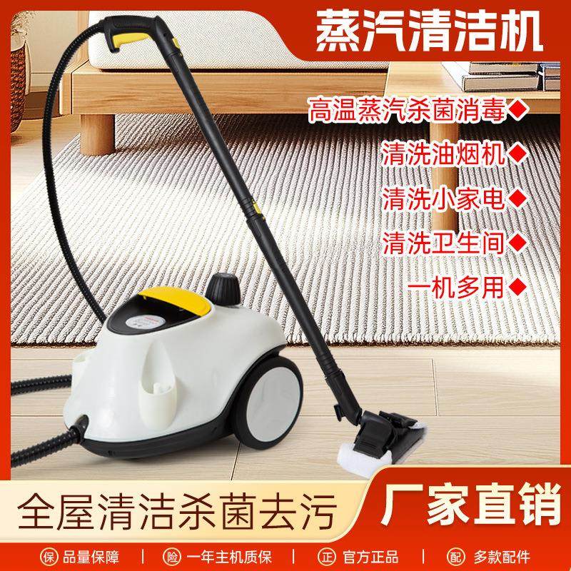 ROBAYSE 高温蒸汽机清洁机汽车贴膜消毒熏蒸甲醛高压内饰清洗机2.