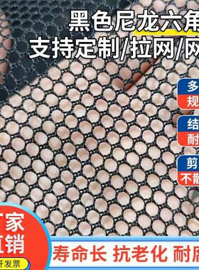 黑色尼龙六角网5毫米网箱鱼苗育苗水花成品鱼暂放养殖网箱不伤鱼