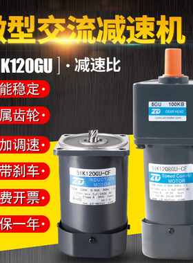 ZD中大电机 6W15W25W40W60W90W微型交流齿轮减速电机调速感应阻尼