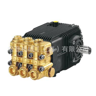 意大利进口 AR 艾热 高压柱塞泵 电动自吸高压清洗机 XWL50.15N