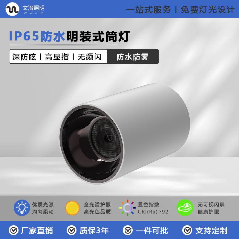防水筒灯户外室内卫生间明装全光谱门头见光不见灯走廊射灯