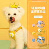 狗狗牵引绳胸抱婴袋背心式 泰迪比熊遛狗绳子狗炼小型犬猫咪防挣脱
