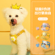 狗狗牵引绳胸抱婴袋背心式 泰迪比熊遛狗绳子狗炼小型犬猫咪防挣脱
