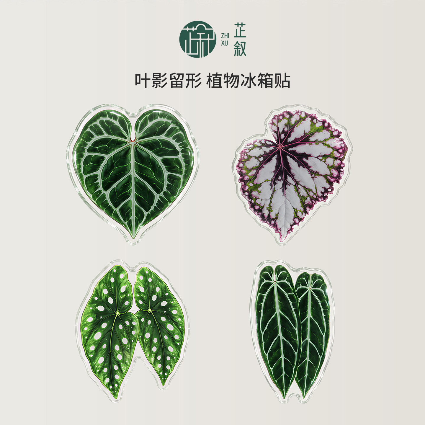 芷叙原创热植冰箱贴绿植克莱恩花烛火鹤后秋海棠磁吸创意文创礼物