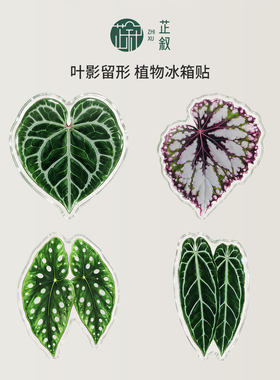 芷叙原创热植冰箱贴绿植克莱恩花烛火鹤后秋海棠磁吸创意文创礼物