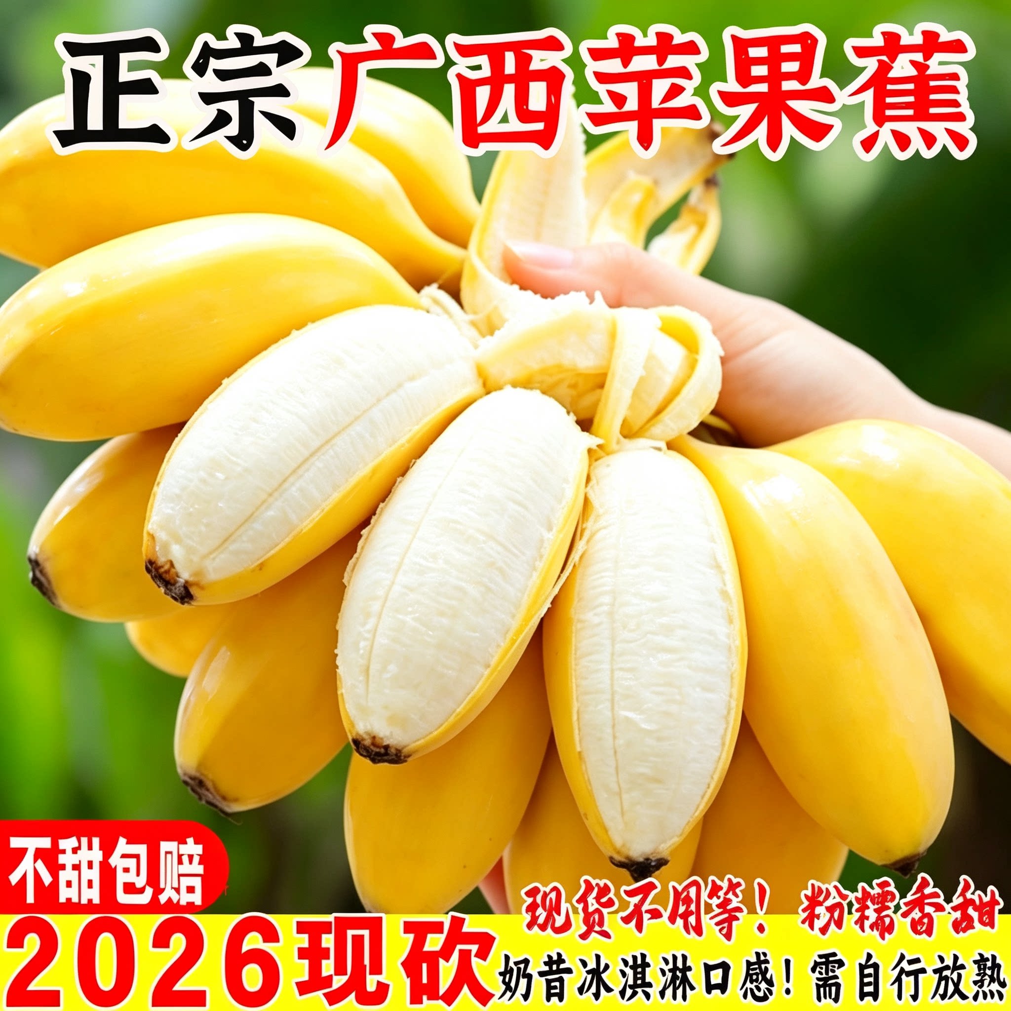 正宗广西苹果蕉！粉粉糯糯好好吃