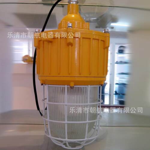 BPC8730B内场防爆灯_节能防爆平台灯 防眩泛光灯平台灯