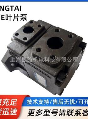 HONGTAI VANE PUMP叶片泵YB-E8/16/25/32/40/50/63/80/100/125