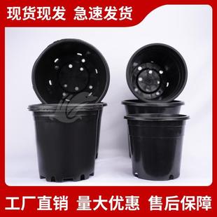 塑料花盆黑色桶基地种植多肉盆育苗盆加仑盆家用大AB型圆反边花盆