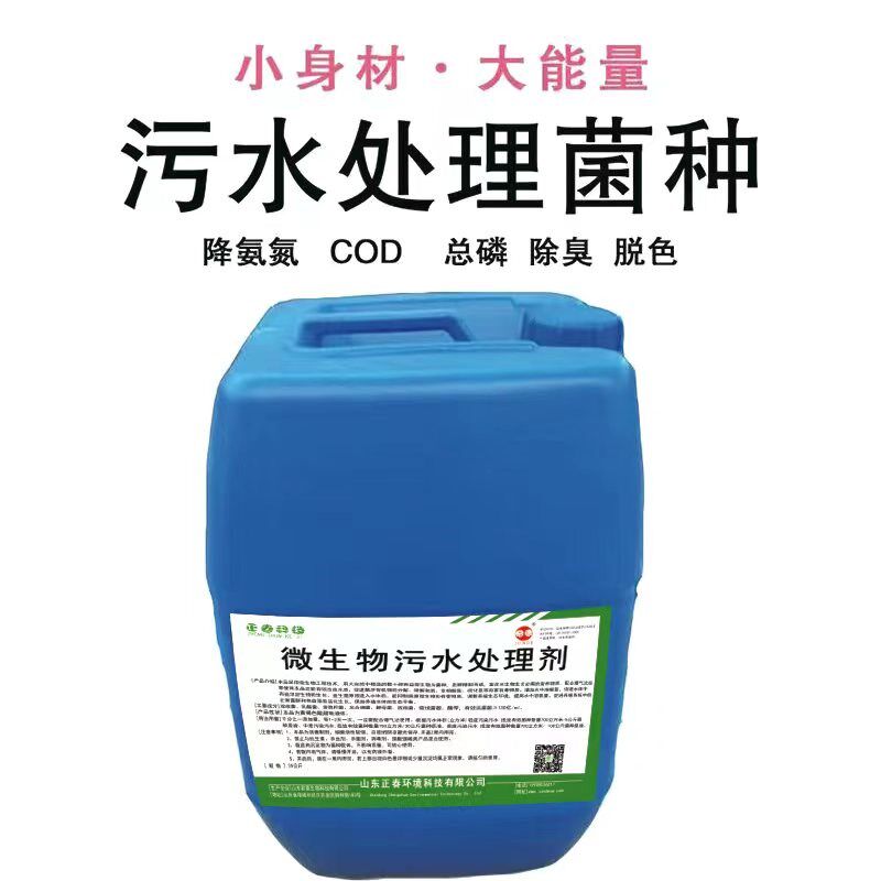 微生物污水处理剂好氧厌氧池生物膜活性污泥菌种医院生活废水处理