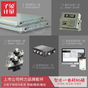 福建60吨地磅汽车衡厂家货场粮站智能地磅建筑工地沙石厂用地磅秤