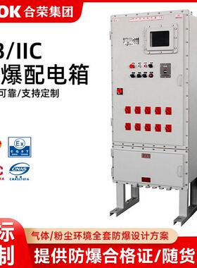 防爆配电箱IIIC级 不锈钢IIB控制箱 照明电源箱按钮箱非标制作