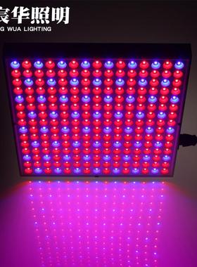 宸华LED植物生长灯LED植物灯45W农场园艺led植物生长补光灯方形