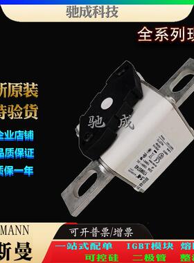 巴斯曼170M5734 170M5735 170M5738 现货直销零售 快速保险丝