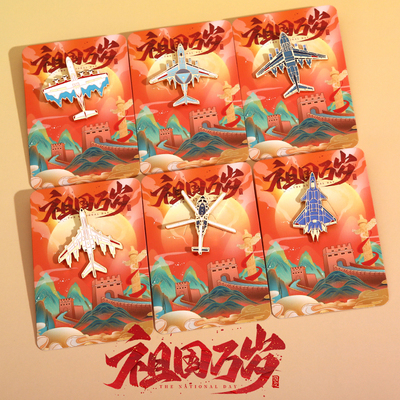 镀银珠海航展胸针6件套合金饰品