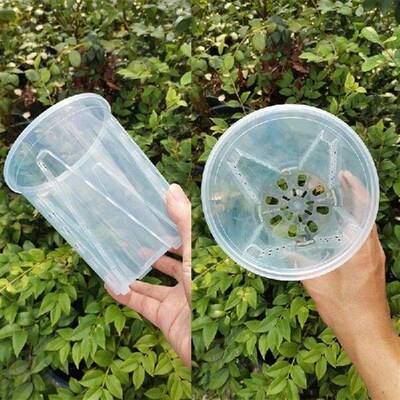Plant Pot Transparent Nursery Pots Planting Nutrition Cup