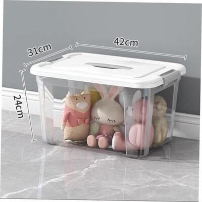 Plastic seethrough storage boxes for clothes and snacks