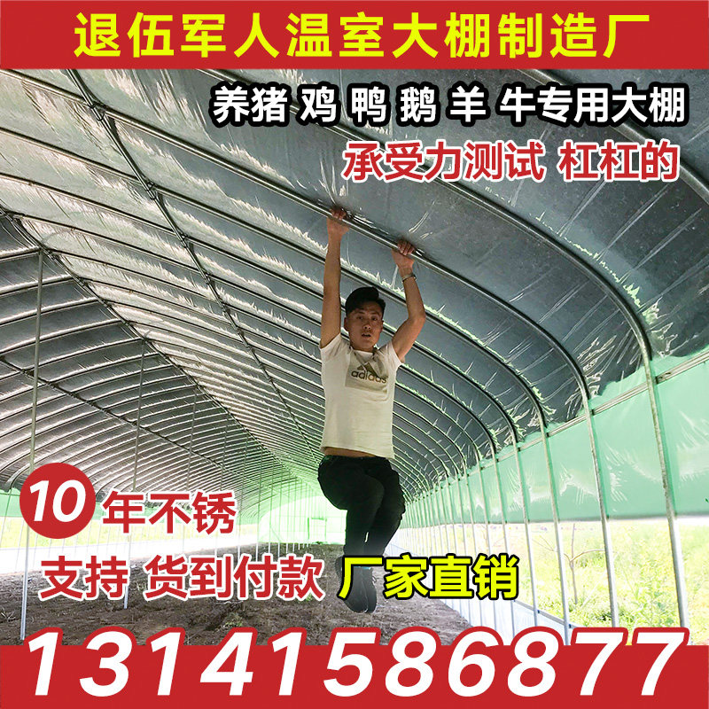 蔬菜大棚钢管骨架热浸镀锌温室养殖猪鸡育苗花卉智能隔热水产保温,农机/农具/农膜,温室大棚支架,淘宝优惠券,粉丝福利购,淘宝优惠卷