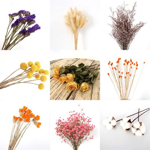 Dried Flower Bouquet Diy Kapok Dried Flower Decoration Catta
