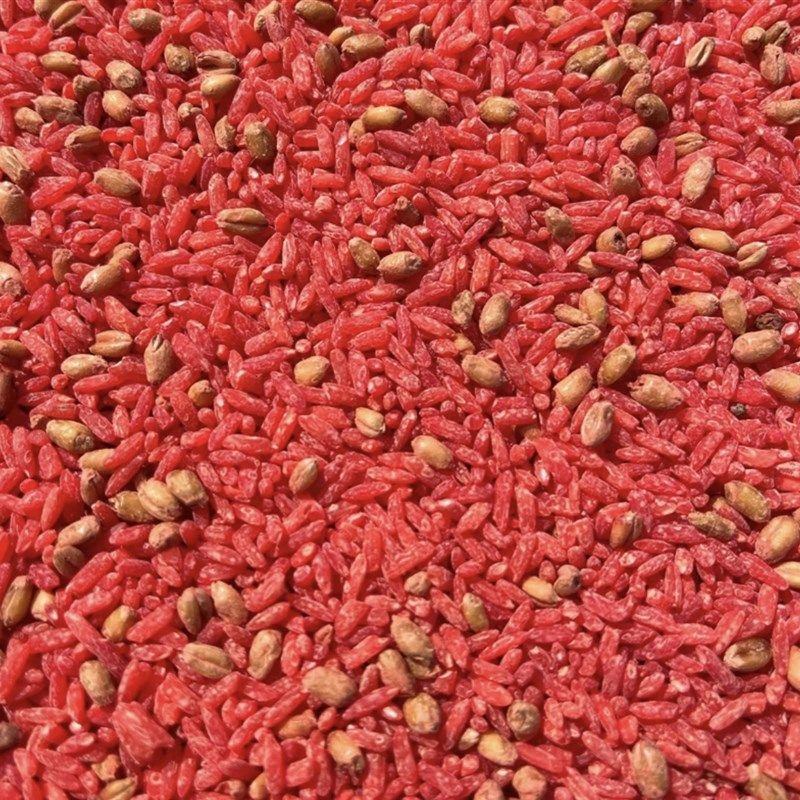 邑仁定制钓友酒米打窝米谷麦酒米野钓密封白色泡制钓鱼打窝料使用,户外/登山/野营/旅行用品,台钓饵,淘宝优惠券,粉丝福利购,淘宝优惠卷