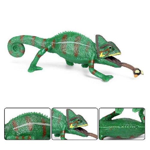 Simulation Reptile Animals Model Solid Lizard Phrynosoma